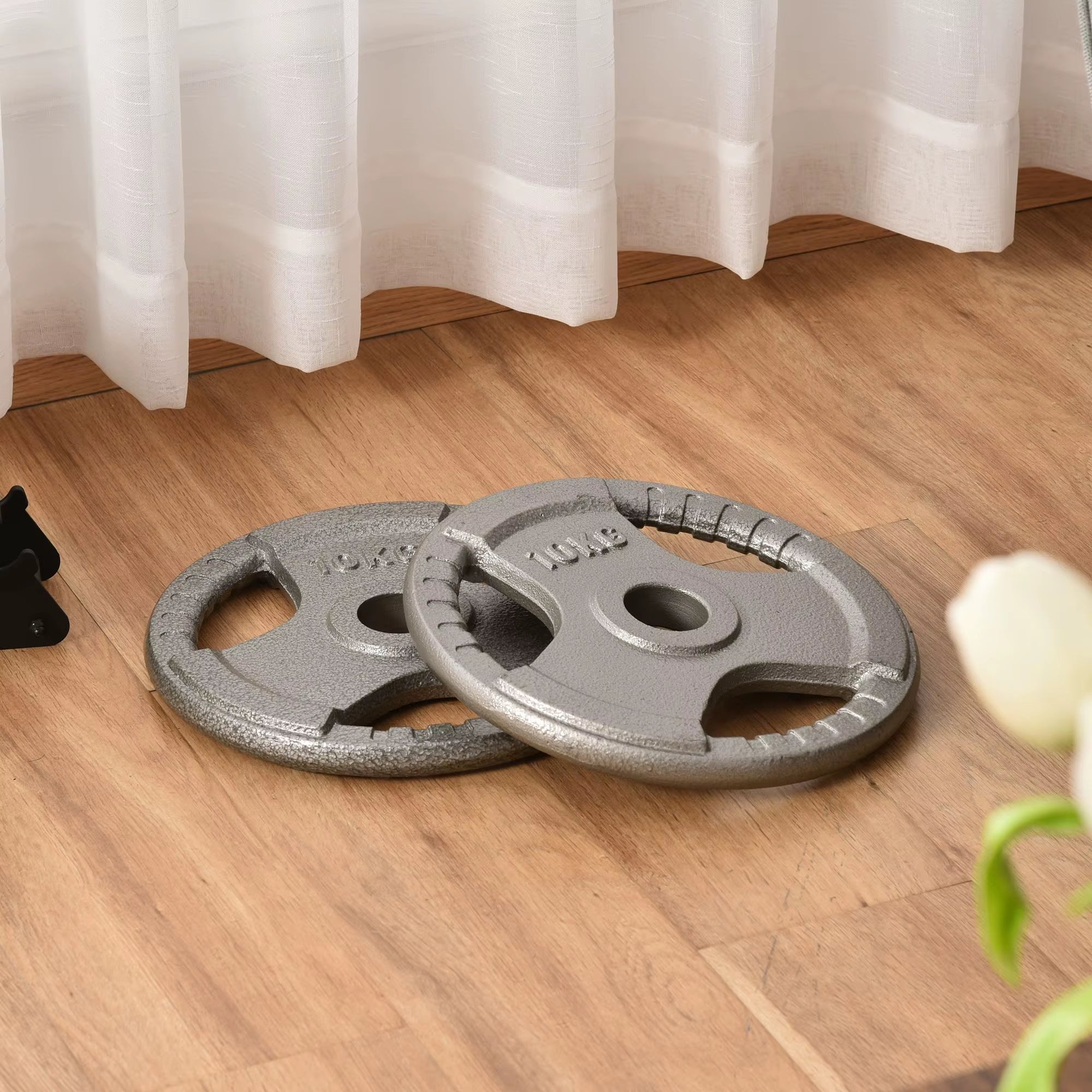 Set of 2 Cast Iron Weight Plates for 2"/5Cm Hole Dumbbell Handle Bar, Barbell Weight 2 X 10Kg